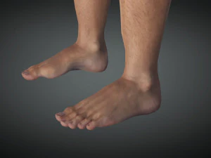 Free Realistic Male Body G1 3D Model