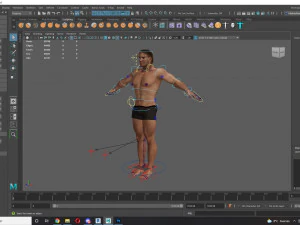 Free Realistic Male Body G1 3D Model