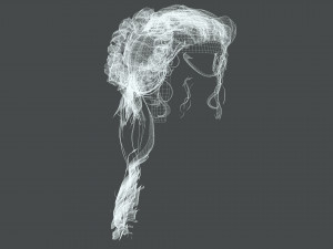 Realistic Female hair colorable 3D Model