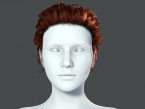 Realistic Female hair colorable 3D Model