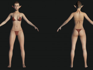 Realistic Elf Female 3D Model