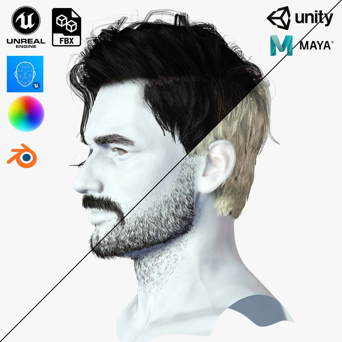 Realistic Hair Beard brows mustache p6 3D Model .c4d .max .obj .3ds .fbx .stl .blend 