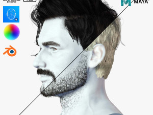 Realistic Hair Beard brows mustache p6 3Dモデル