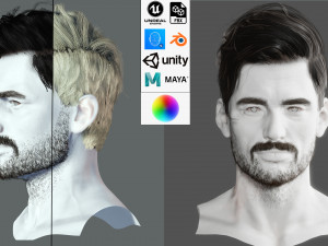Realistic Hair Beard brows mustache p6 3D 모델