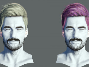 Realistic Hair Beard brows mustache p6 3D 모델