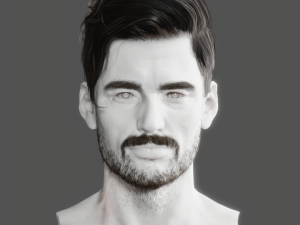Realistic Hair Beard brows mustache p6 3D 모델