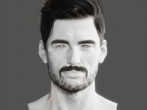 Realistic Hair Beard brows mustache p6 3D Model