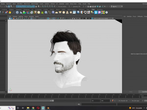 Realistic Hair Beard brows mustache p6 3D 모델