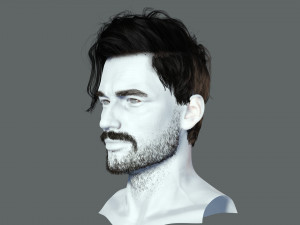 Realistic Hair Beard brows mustache p6 3D 모델