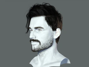 Realistic Hair Beard brows mustache p6 3D Model