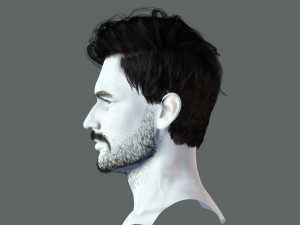 Realistic Hair Beard brows mustache p6 3D 모델