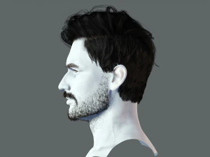 Realistic Hair Beard brows mustache p6 3D Model