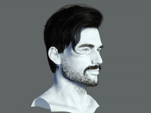Realistic Hair Beard brows mustache p6 3D 모델