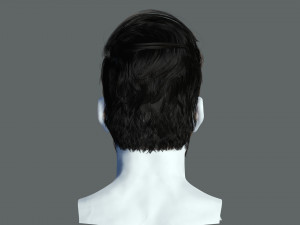 Realistic Hair Beard brows mustache p6 3D 모델