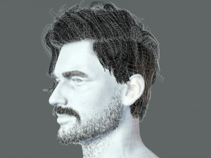 Realistic Hair Beard brows mustache p6 3D 모델
