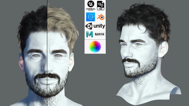 Realistic Hair Beard brows mustache p7 Model 3D .c4d .max .obj .3ds .fbx .stl .blend 