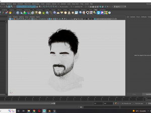 Realistic Hair Beard brows mustache p7 Model 3D