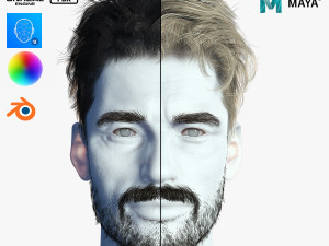 Realistic Hair Beard brows mustache p7 Model 3D