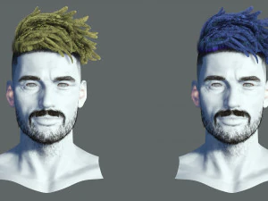 Realistic Hair Beard brows mustache p8 Dread 3D Model