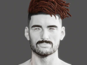 Realistic Hair Beard brows mustache p8 Dread 3D Model