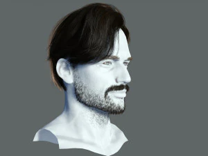 Realtime hair man Polygone Hairstyle 3D Model