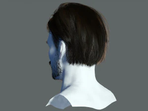 Realtime hair man Polygone Hairstyle 3D Model