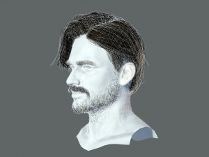 Realtime hair man Polygone Hairstyle 3Dモデル