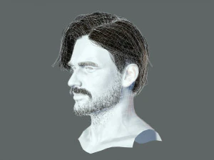 Realtime hair man Polygone Hairstyle 3D Model