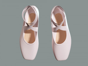 Ballet Shoes 3D 모델