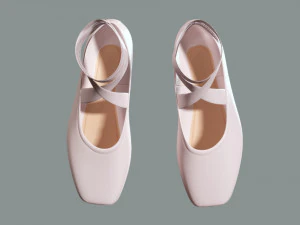Ballet Shoes 3D Model