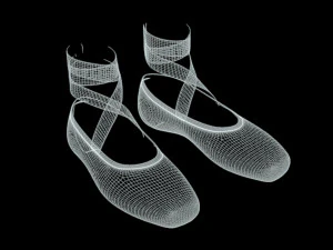 Ballet Shoes 3D Model