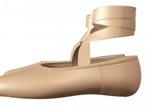 Ballet Shoes 3D Model