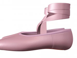 Ballet Shoes 3D Model