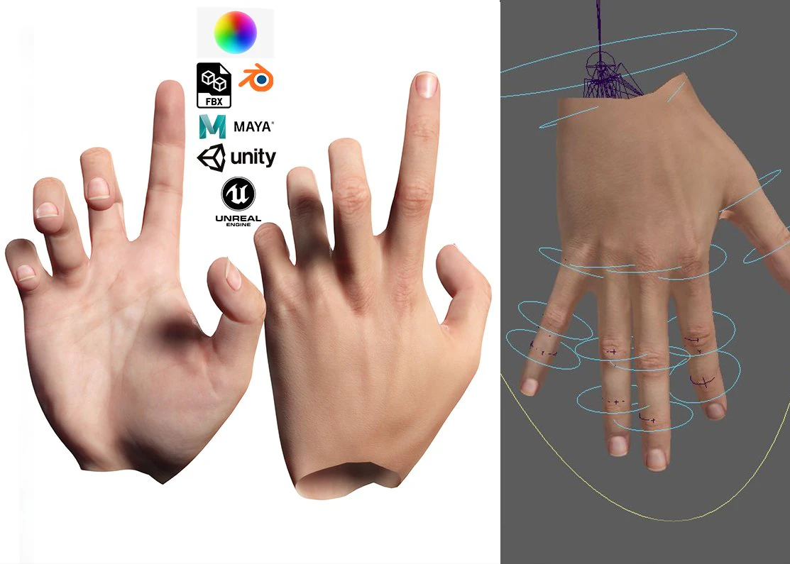 Realistic Hand VR Low-poly 3D Model .c4d .max .obj .3ds .fbx .stl .blend 