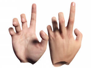 Realistic Hand VR Low-poly 3D Model