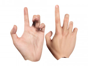 Realistic Hand VR Low-poly 3D Model