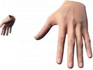 Realistic Hand VR Low-poly 3D Model