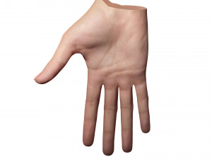 Realistic Hand VR Low-poly 3D Model