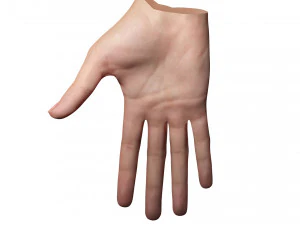 Realistic Hand VR Low-poly 3D Model