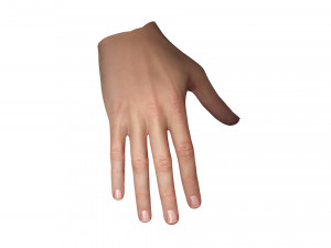 Realistic Hand VR Low-poly 3D Model