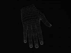 Realistic Hand VR Low-poly 3D Model