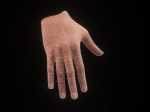 Realistic Hand VR Low-poly 3D Model