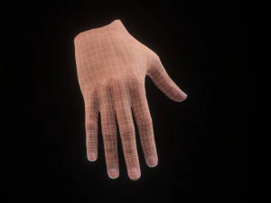 Realistic Hand VR Low-poly 3D Model