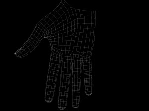 Realistic Hand VR Low-poly 3D Model