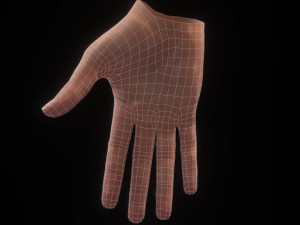 Realistic Hand VR Low-poly 3D Model