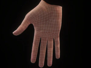 Realistic Hand VR Low-poly 3D Model