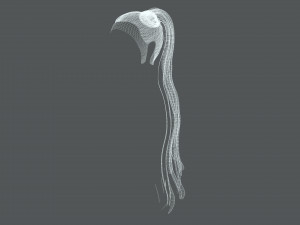 Realistic Female long hair colorable Low-poly Modelo 3D