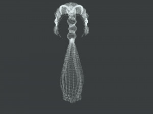 Realistic Hair Braid Viking Realtime Low-poly 3Dモデル