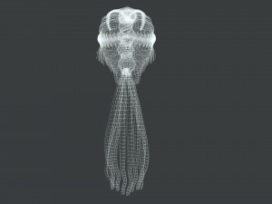 Realistic Hair Braid Viking Realtime Low-poly 3Dモデル