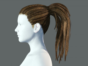Realistic Dreads Hair Rasta Low-poly free Modello 3D